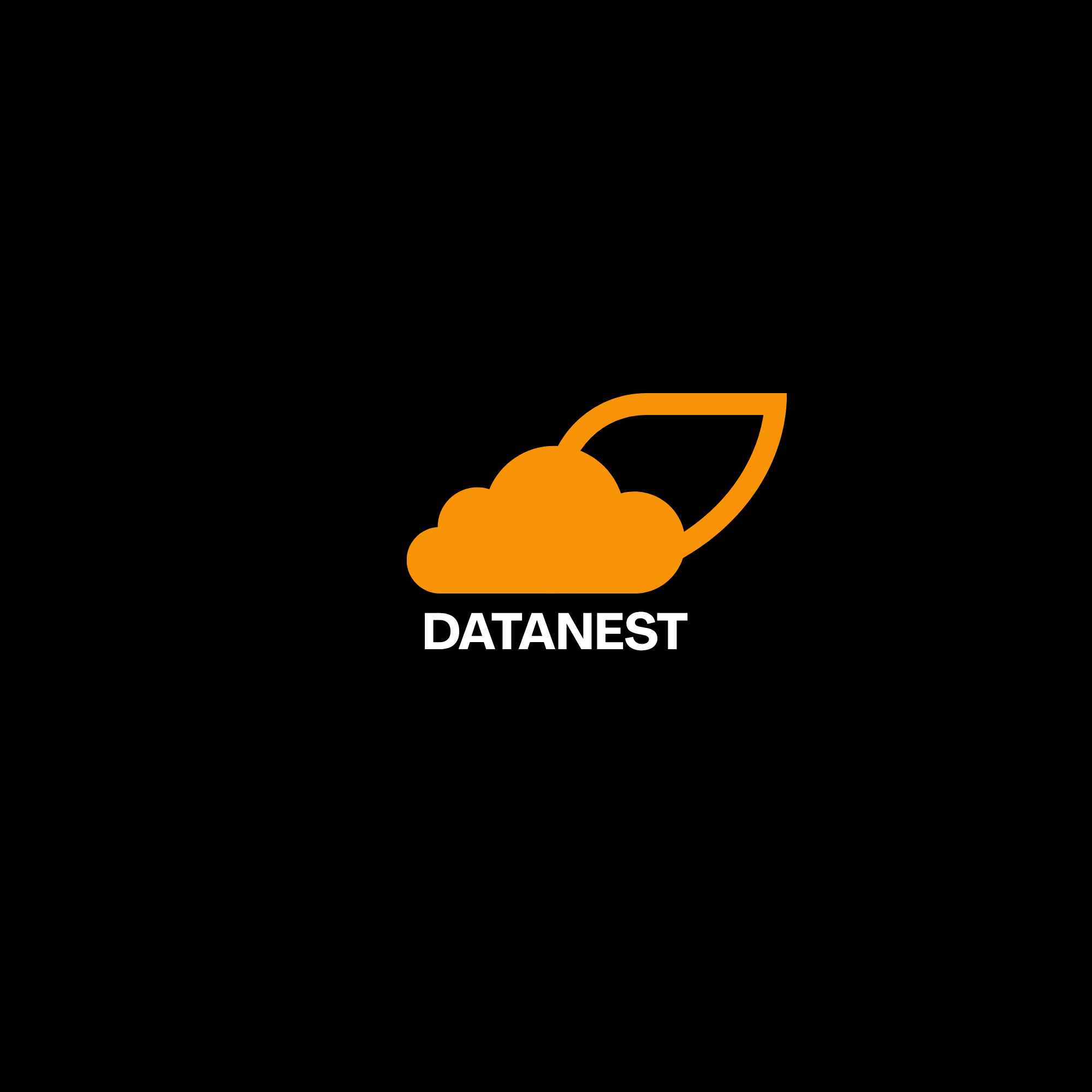 DataNest logo